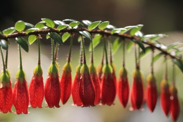 中山东凤7私人快速借钱网，轻松解决资金难题