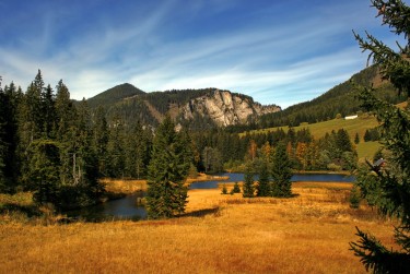 中山东凤7民间私贷攻略：揭秘低成本借贷的秘密