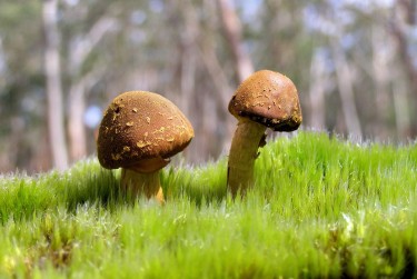 中山东凤7私人老板放款：轻松融资的秘密通道